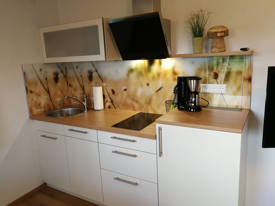 Comfort Apartment, 1 Bedroom, Kitchen | Private kitchen | Fridge