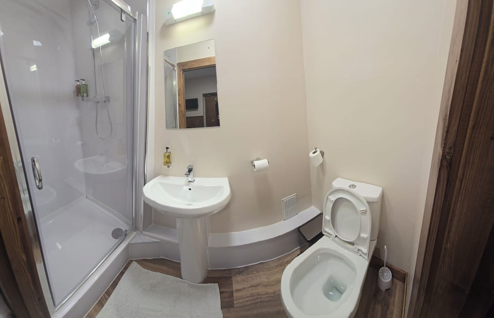 Deluxe Single Room, 1 Twin Bed | Bathroom | Shower, free toiletries, hair dryer, towels