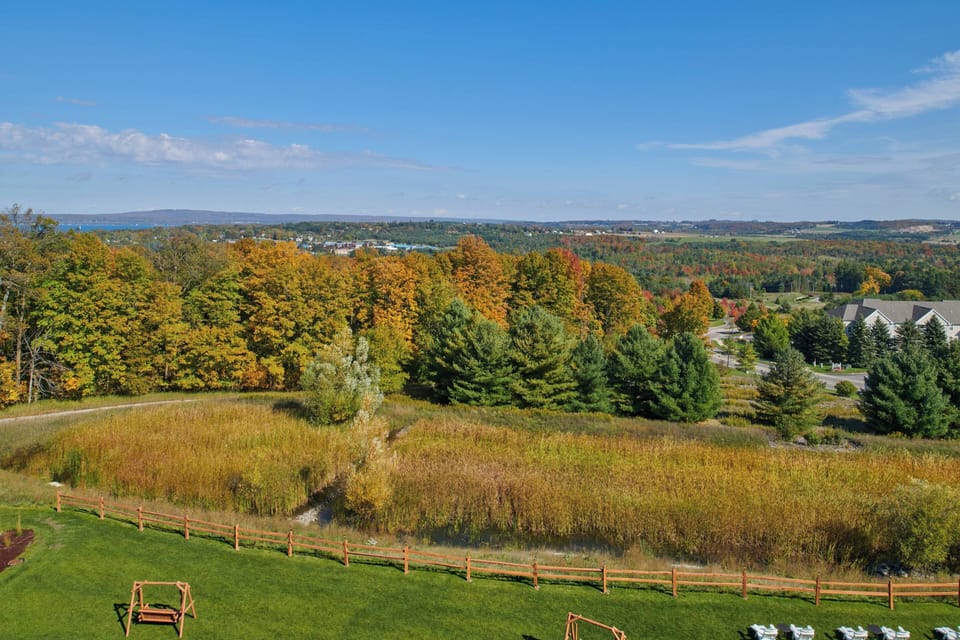 Desk, laptop workspace, blackout drapes, iron/ironing board