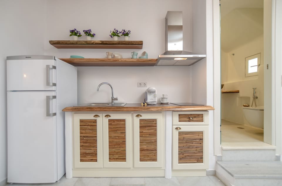 Deluxe Apartment | Private kitchen | Fridge, stovetop