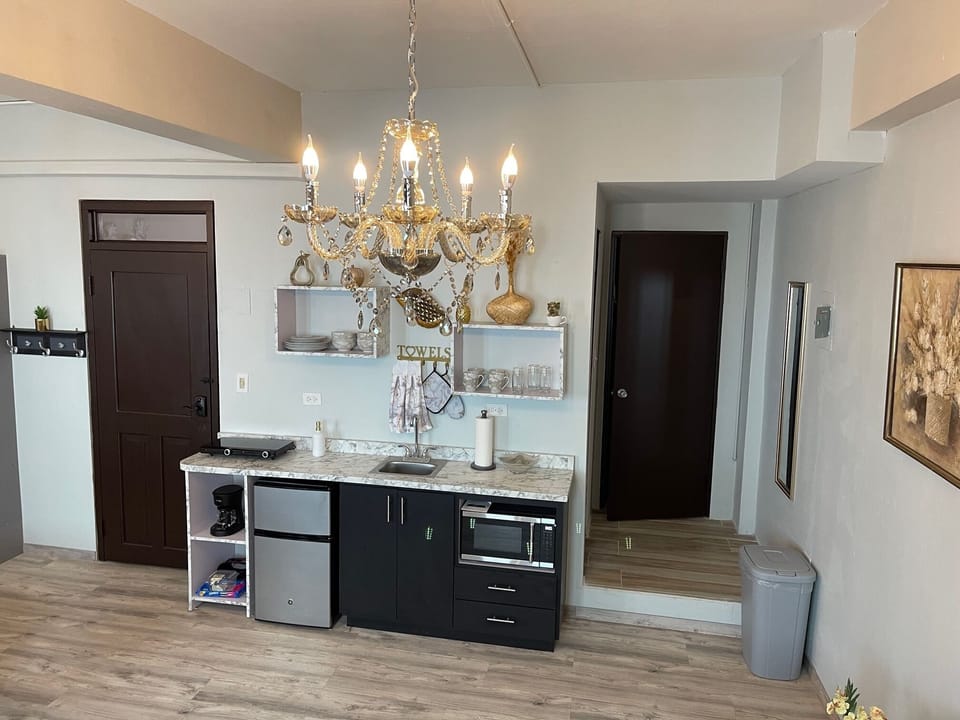 Luxury Studio | Private kitchen | Mini-fridge, microwave, coffee/tea maker, coffee grinder