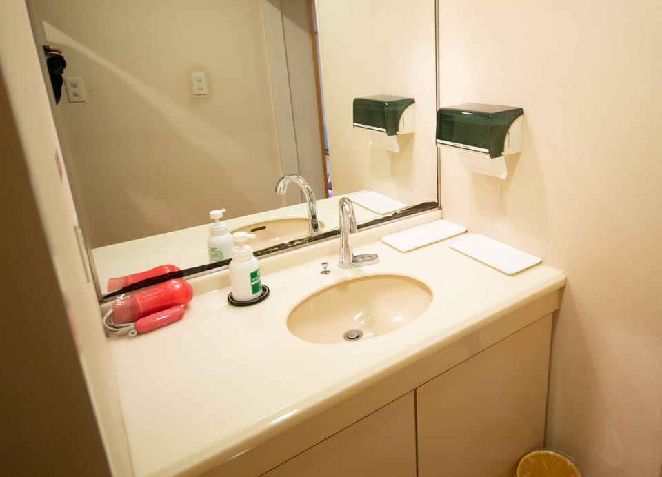 Bathroom sink