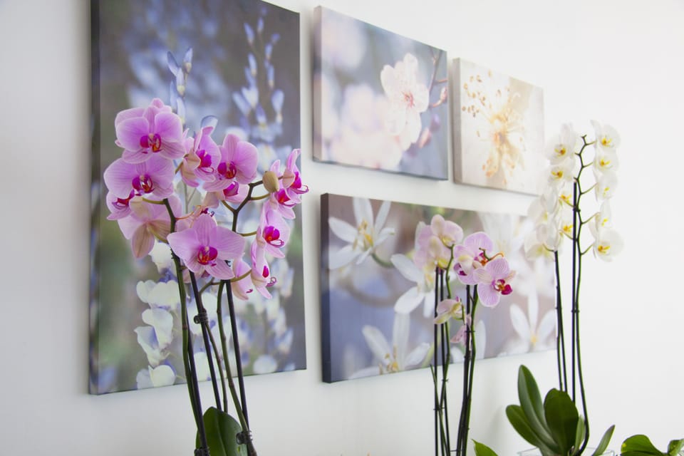 Daily buffet breakfast (EUR 9.50 per person)