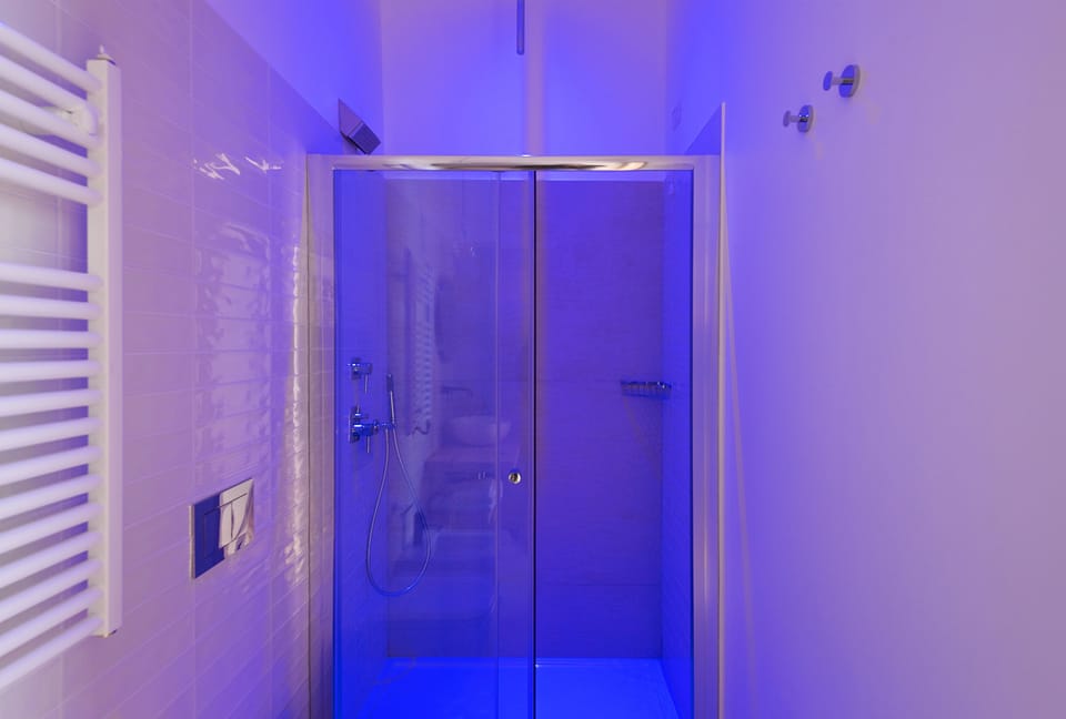 Deluxe Double Room | Bathroom shower