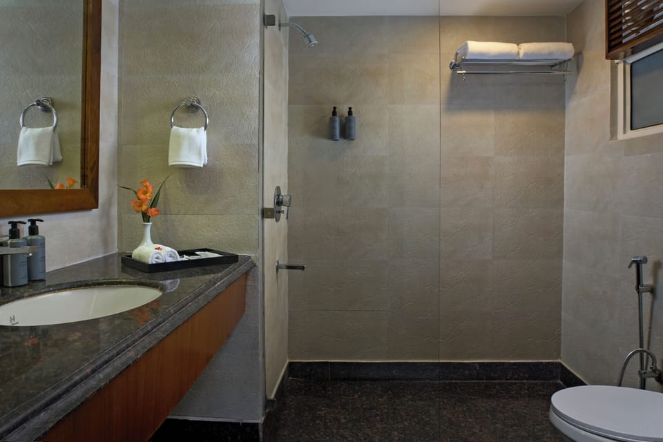 Luxury Suite | Bathroom | Shower, free toiletries, hair dryer, slippers