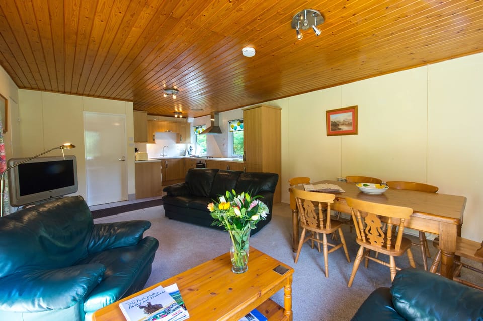 Chalet | Living room | 30-inch flat-screen TV with cable channels, TV