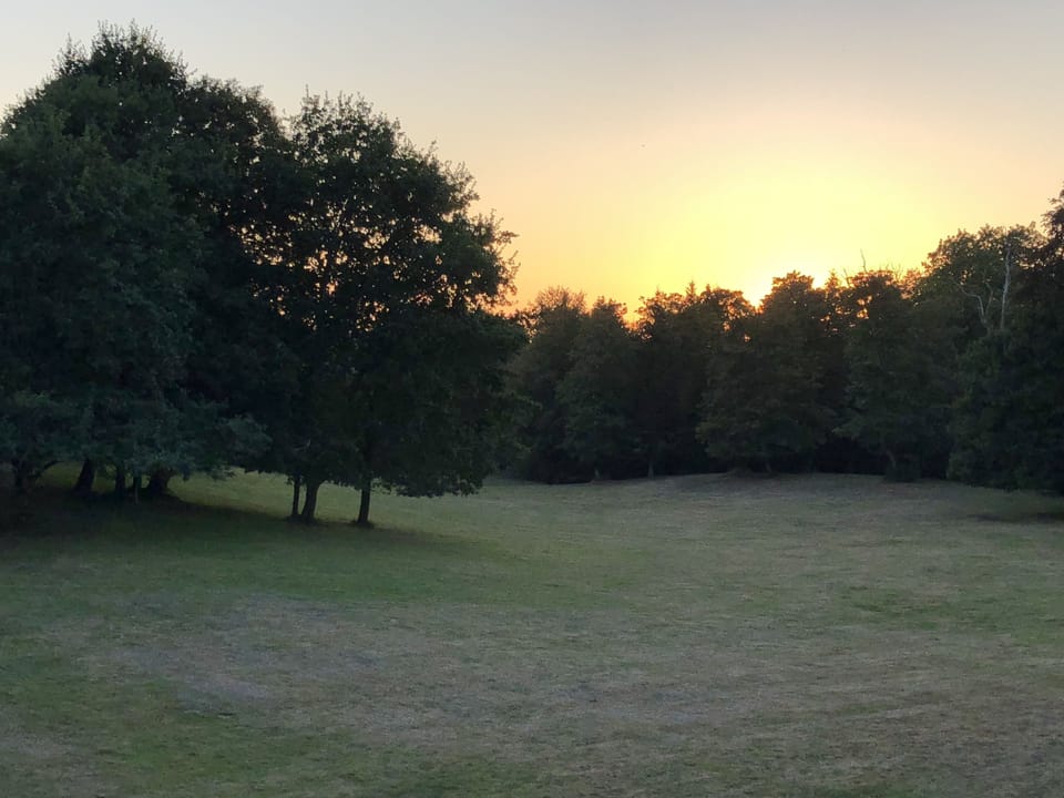 Garden view