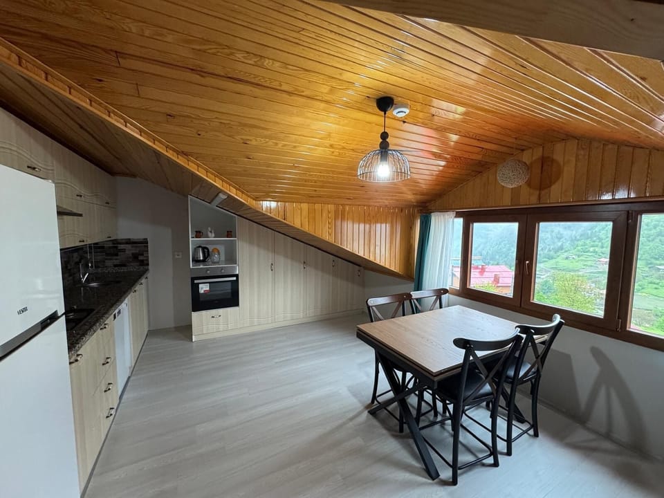 Apartment, 3 Bedrooms, Lake View | Private kitchen | Mini-fridge, oven, stovetop, griddle