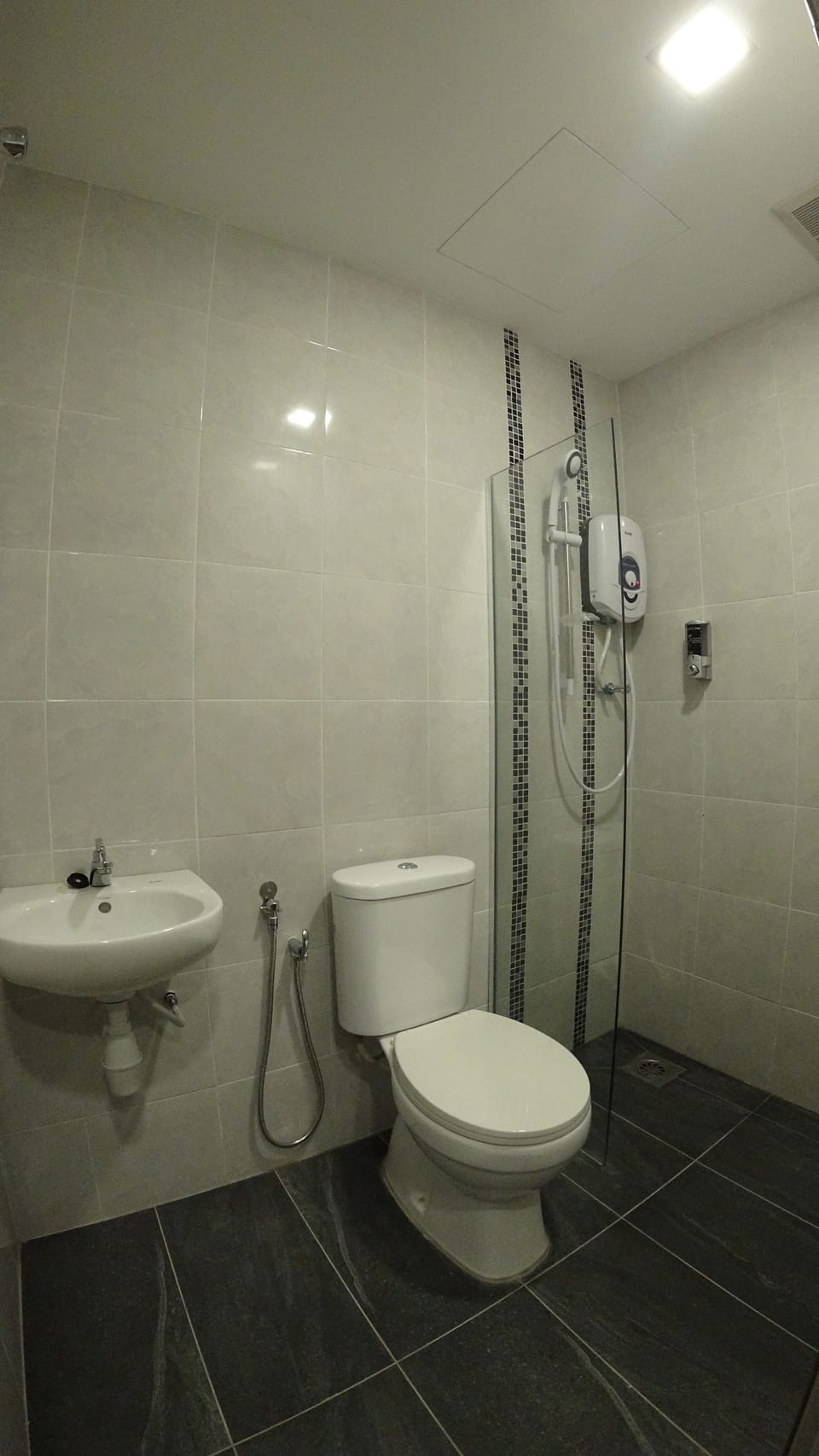 Shower, free toiletries, bidet, towels