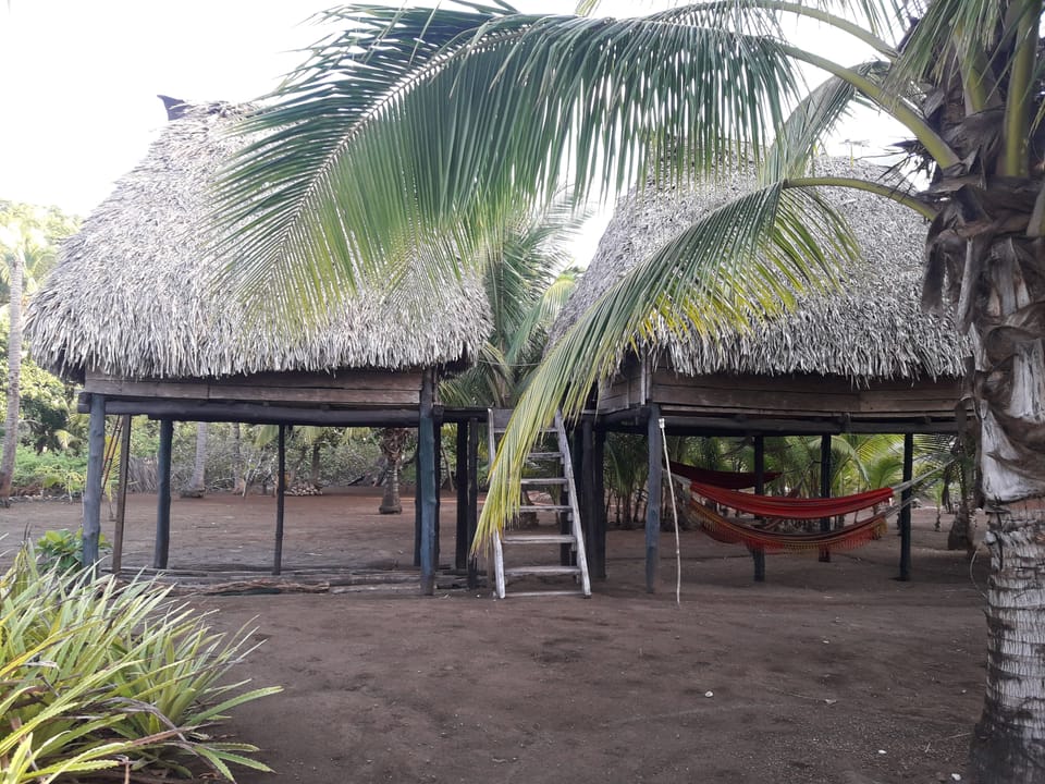 2 Hammocks outside with roof. No bed