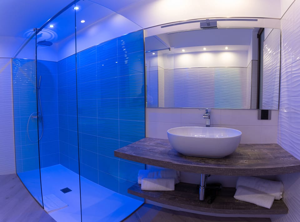 Shower, free toiletries, hair dryer, bidet