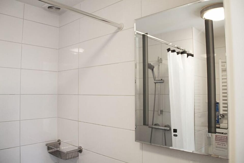 Deluxe Double Room, 1 King Bed | Bathroom | Shower, hair dryer, towels, soap