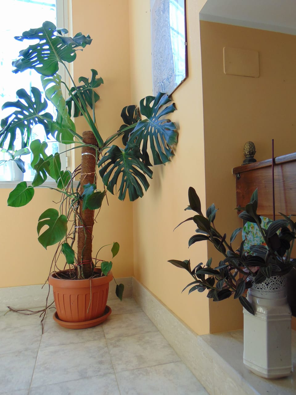 Interior detail