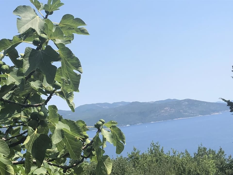 House, 2 Bedrooms | View from room