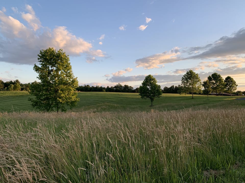 Garden view