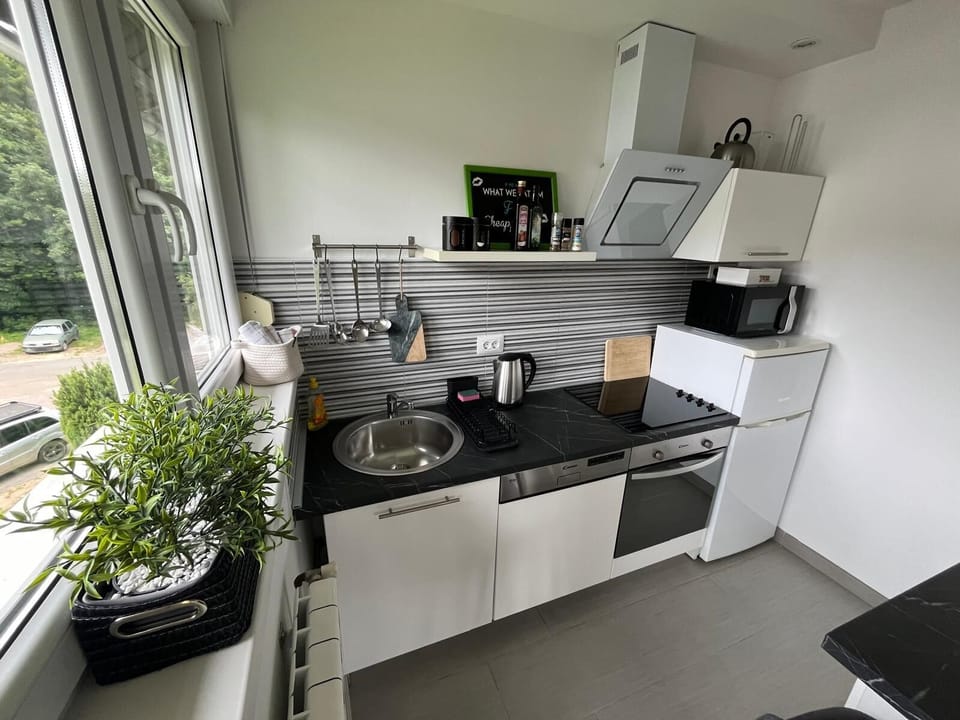 Deluxe Studio, Mountain View | Private kitchen | Coffee/tea maker