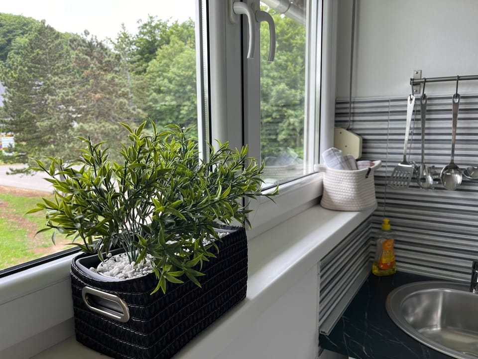 Deluxe Studio, Mountain View | Private kitchen | Coffee/tea maker