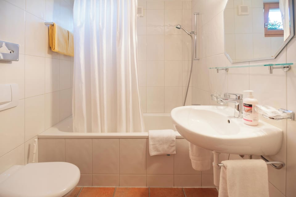 Twin Room | Bathroom | Hair dryer, soap, shampoo, toilet paper