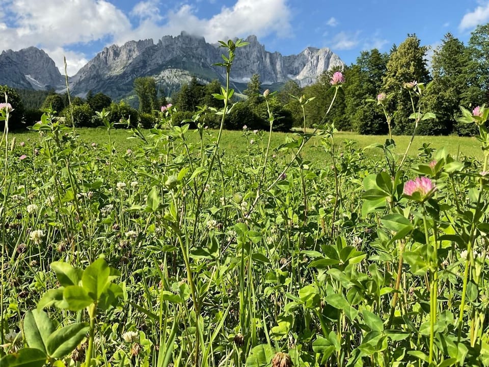 Land view from property