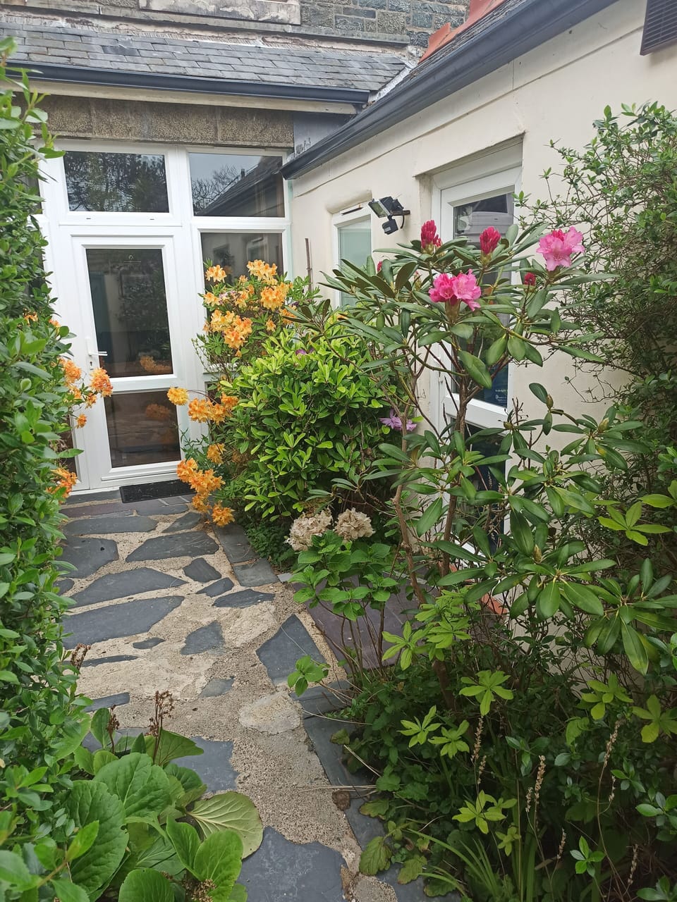 House | Property grounds