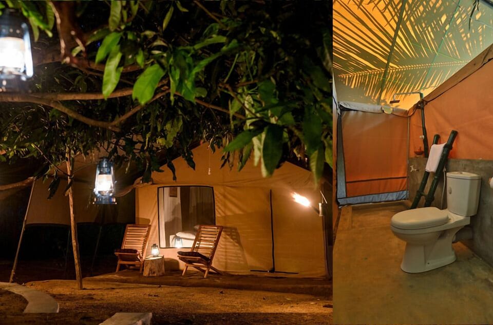 Basic Tent