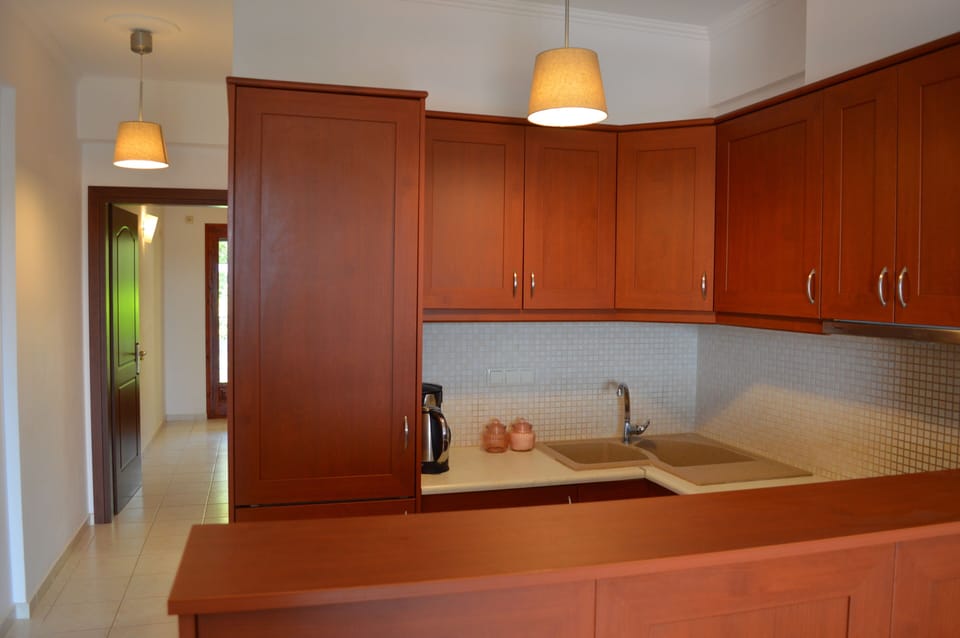 Panoramic Apartment, 1 Queen Bed with Sofa bed, Terrace, Sea View | Private kitchen | Fridge, microwave, oven, stovetop