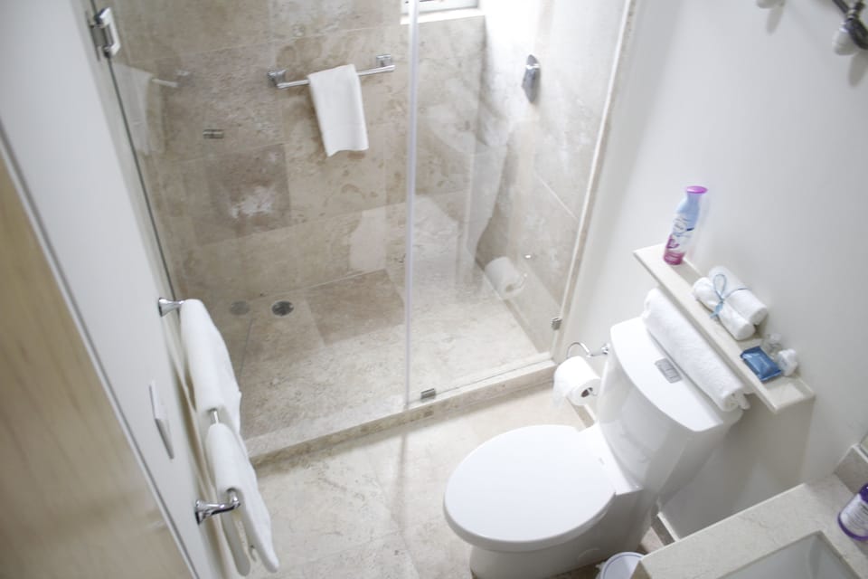 Shower, free toiletries, hair dryer, towels