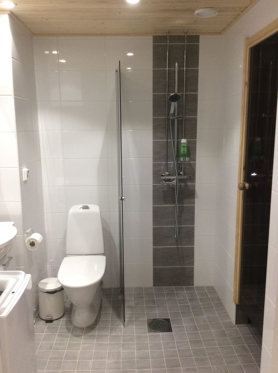 Apartment, Sauna | Bathroom | Shower, hair dryer, bidet, towels