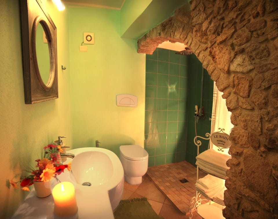 Shower, free toiletries, hair dryer, bidet