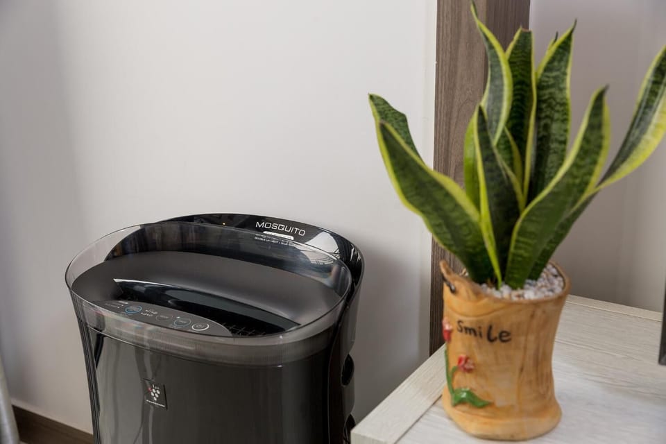 Fridge, microwave, stovetop, electric kettle