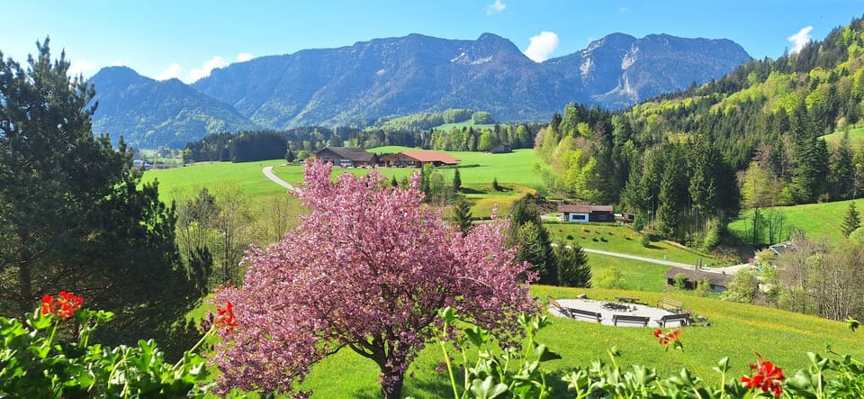 Suite, Balcony, Mountain View (Muenchen) | View from room
