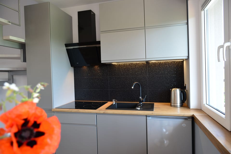 Apartment | Private kitchenette | Full-size fridge, stovetop, coffee/tea maker, electric kettle