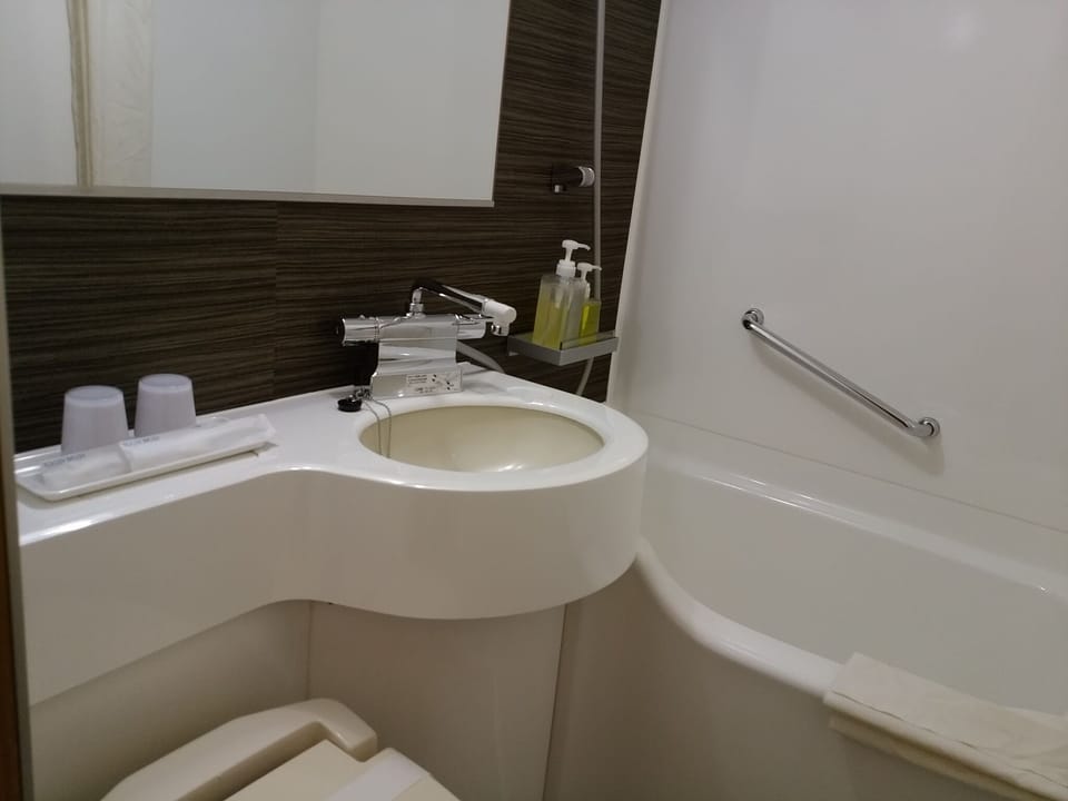 Hair dryer, slippers, bidet