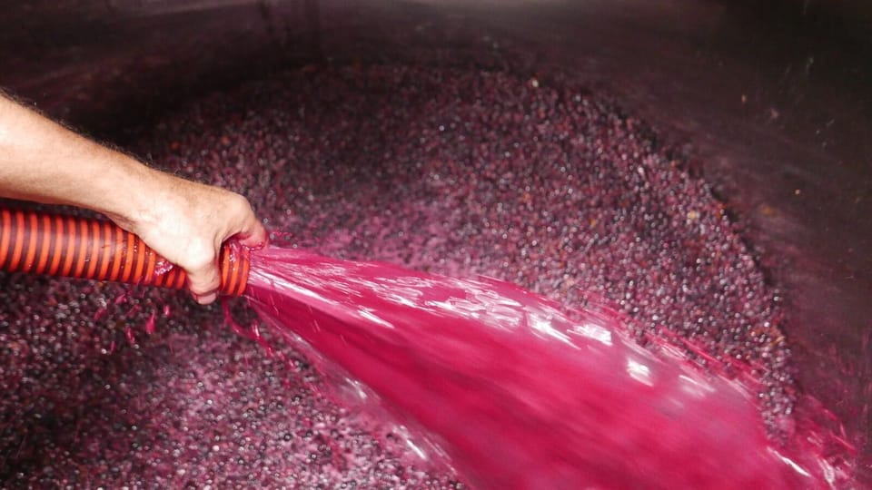 City Cottage, Private Bathroom, Pool View (Agritourisme ) | Miscellaneous