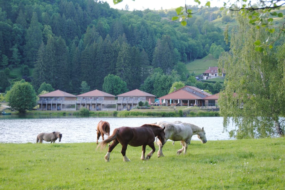 L'Hôtel Lac des Graves Hotel in Auvergne-Rhône-Alpes