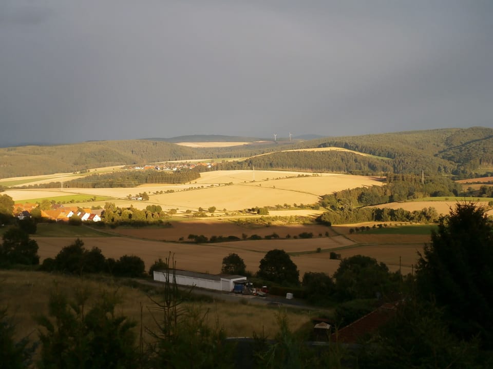View from room
