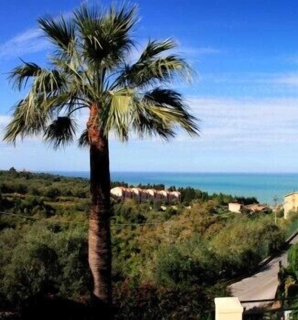 Beach/ocean view
