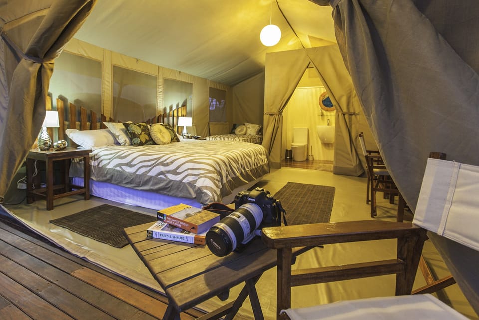 Deluxe Tent (Safari) | In-room safe, desk, bed sheets