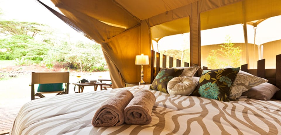 Deluxe Tent (Safari) | In-room safe, desk, bed sheets