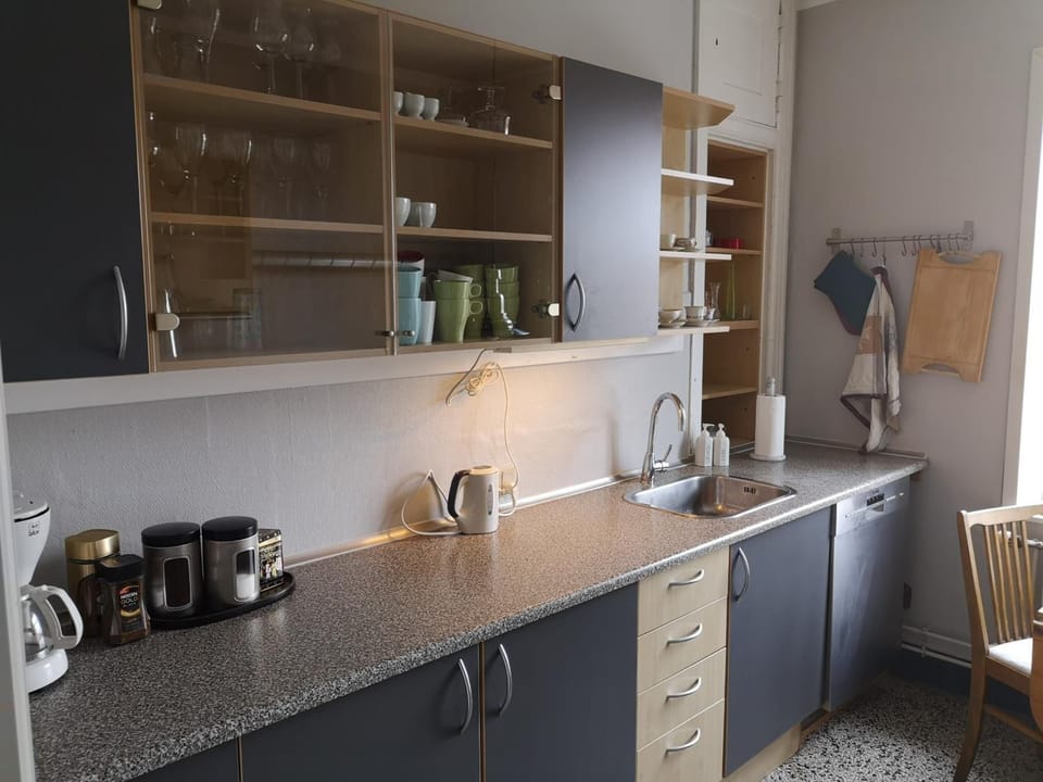 Fridge, oven, stovetop, dishwasher