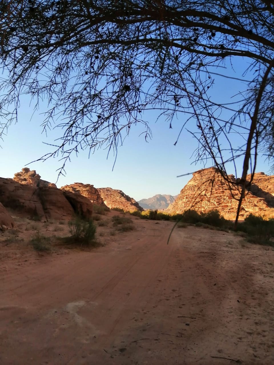 Hiking