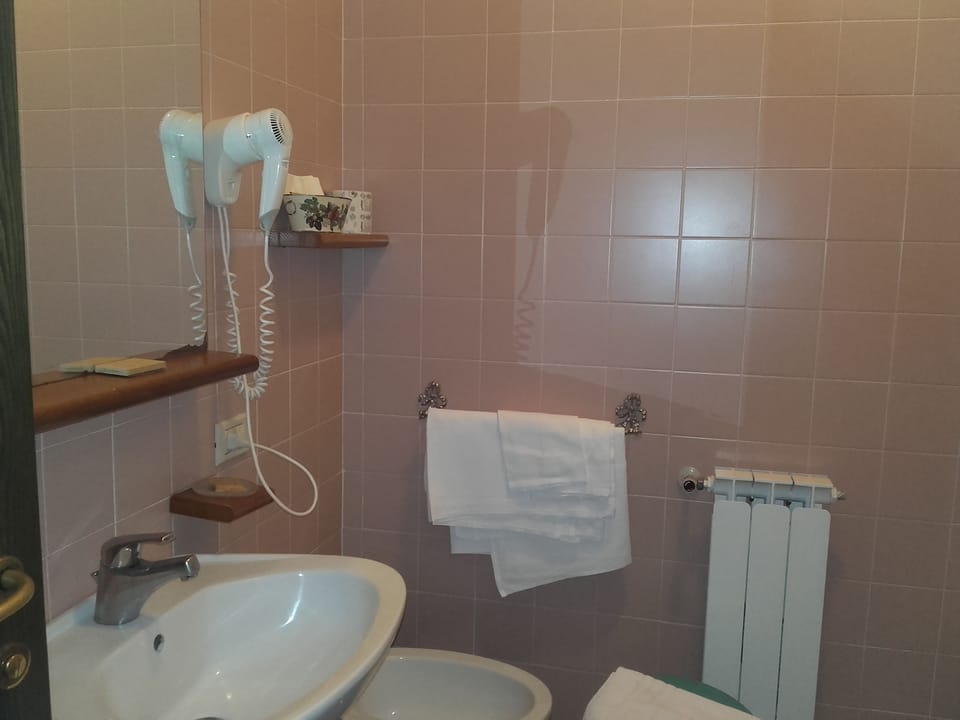 Single Room | Bathroom | Shower, free toiletries, hair dryer, bidet