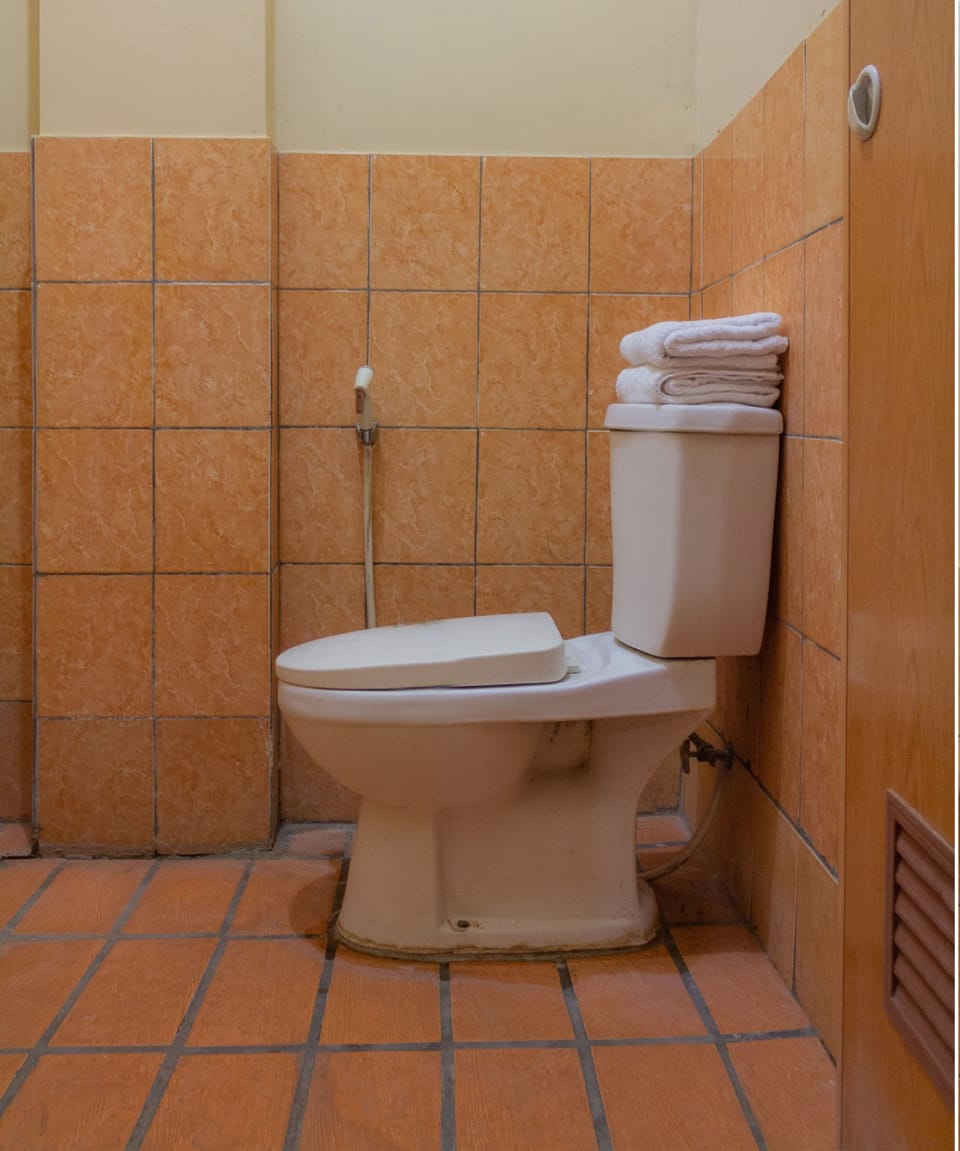 Deluxe Suite | Bathroom | Shower, towels