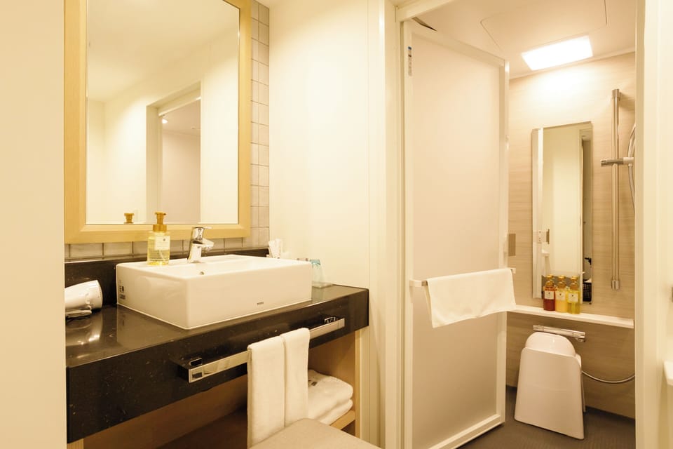 Combined shower/tub, eco-friendly toiletries, hair dryer, slippers