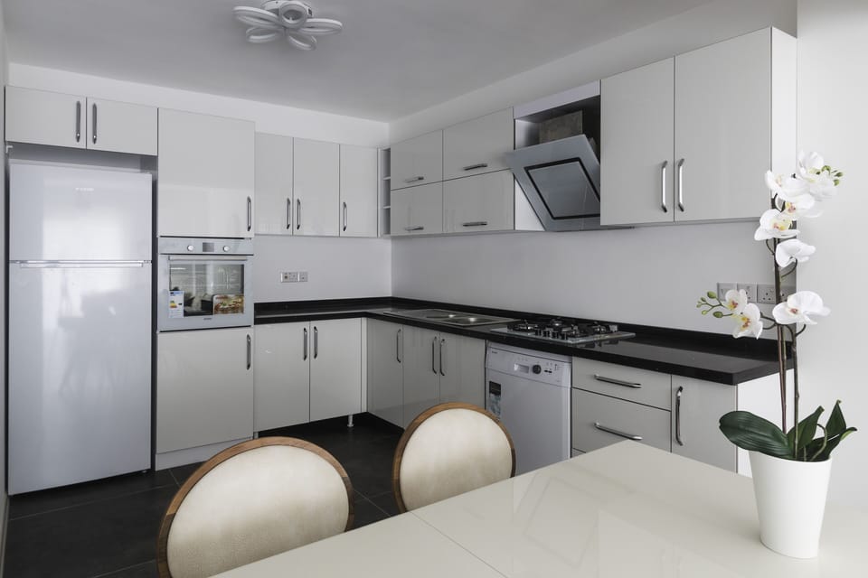 Comfort Apartment, 2 Bedrooms | Private kitchen | Fridge, oven, stovetop, cookware/dishes/utensils