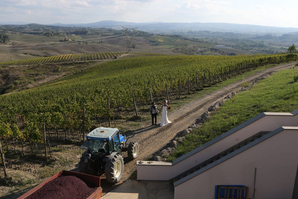 Vineyard