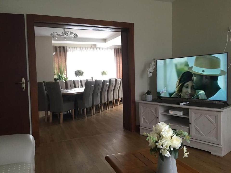 Flat-screen TV