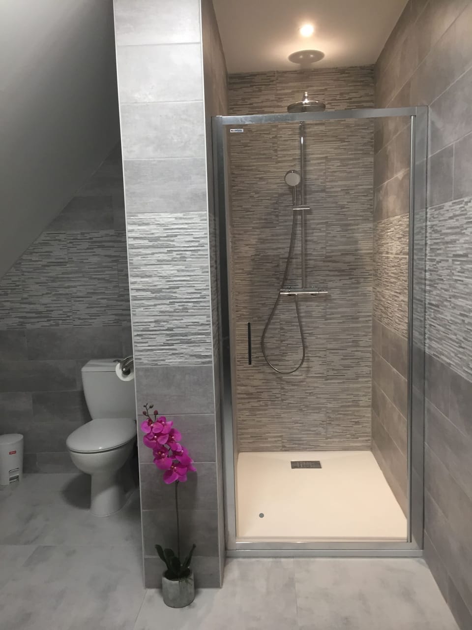Family Room | Bathroom | Hair dryer, towels, soap, shampoo