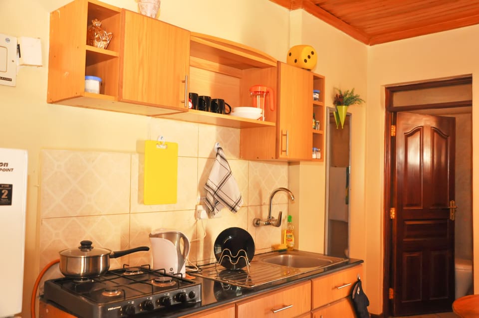 Comfort Apartment, City View | Private kitchen | Full-size fridge, microwave, stovetop, electric kettle