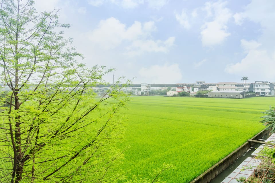 Room, Courtyard View | Down comforters, desk, blackout drapes, free WiFi